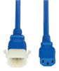 EATON TRIPP LITE P005-E06-ABL-6