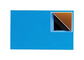FORTEX FBSS203