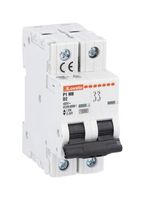 LOVATO ELECTRIC P1MB2PD25 Thermal Magnetic Circuit Breaker, D Trip Curve, IP20/10 kA, P1MB Series, 25 A, 2 Pole, 125 V, 400 V