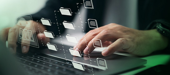 Not In Catalogue Team